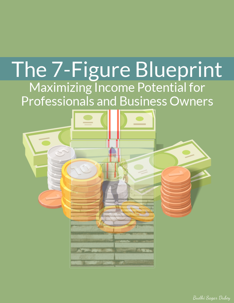 The 7-Figure Blueprint: Maximizing Income Potential for Professionals and Business Owners