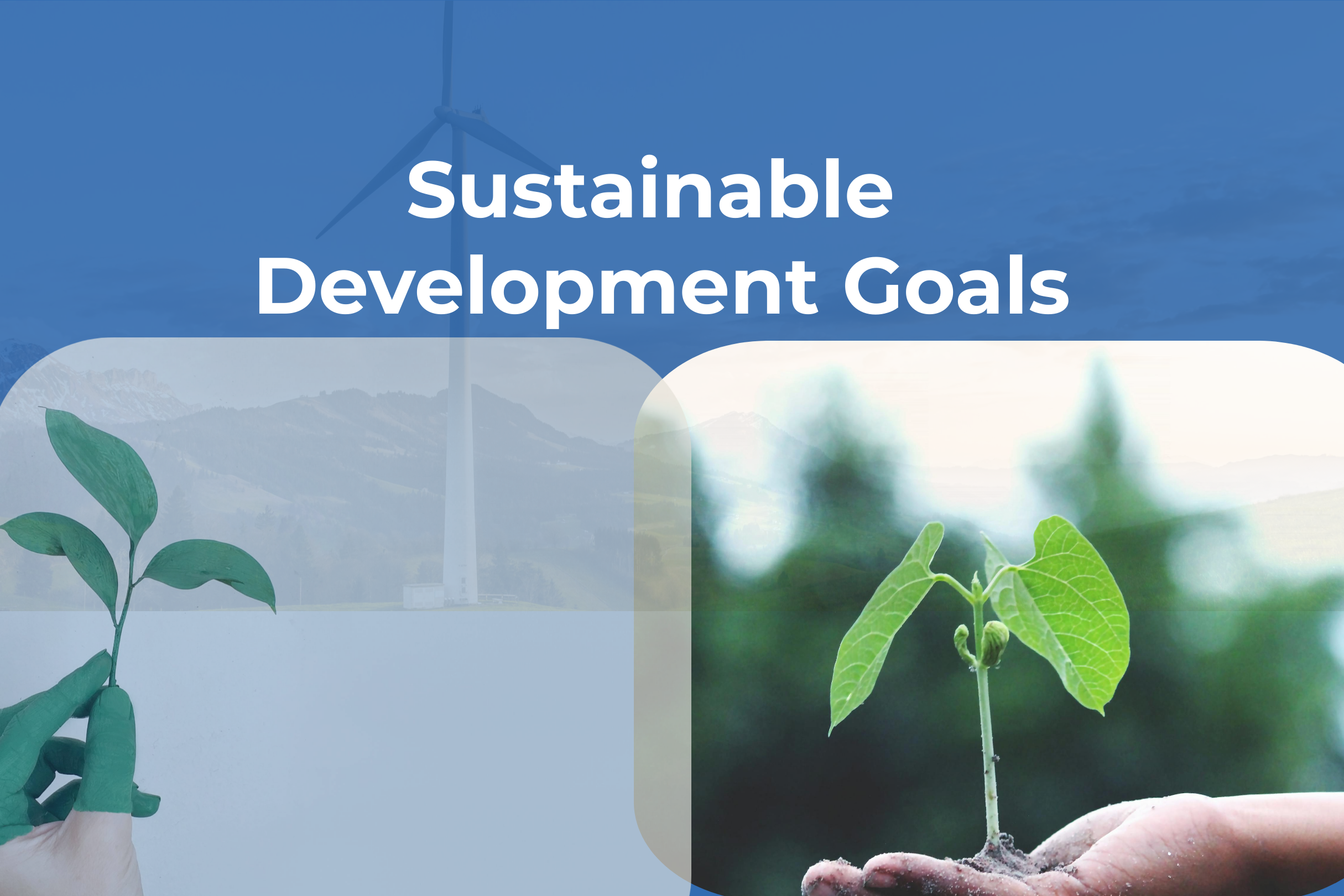 Development Goals