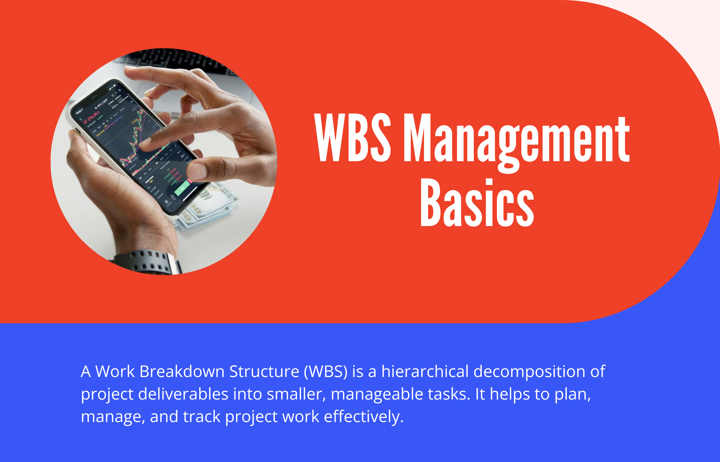 WBS Management Basics